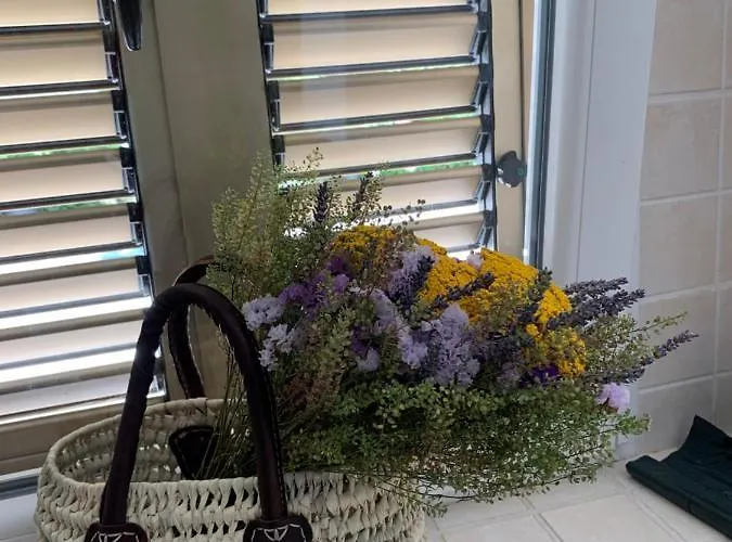 Marija Lägenhet Crikvenica