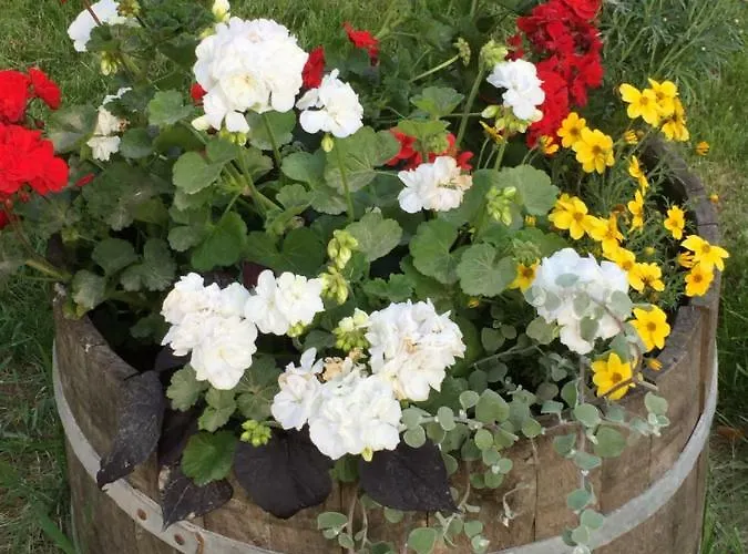 Marija Lägenhet Crikvenica